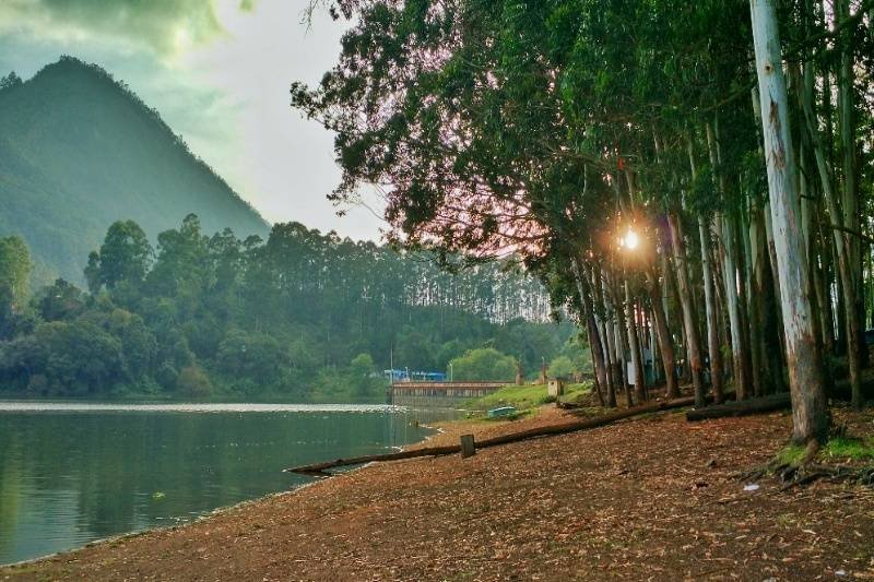 Top Budget Tours Munnar Madurai by Nt Holidays